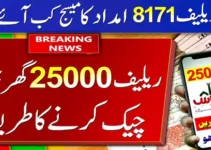 Ehsaas Program 25000 Online Check Payment 2022
